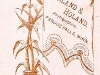Albert P. Holand Logo