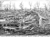 Rochester Tornado Picture 1